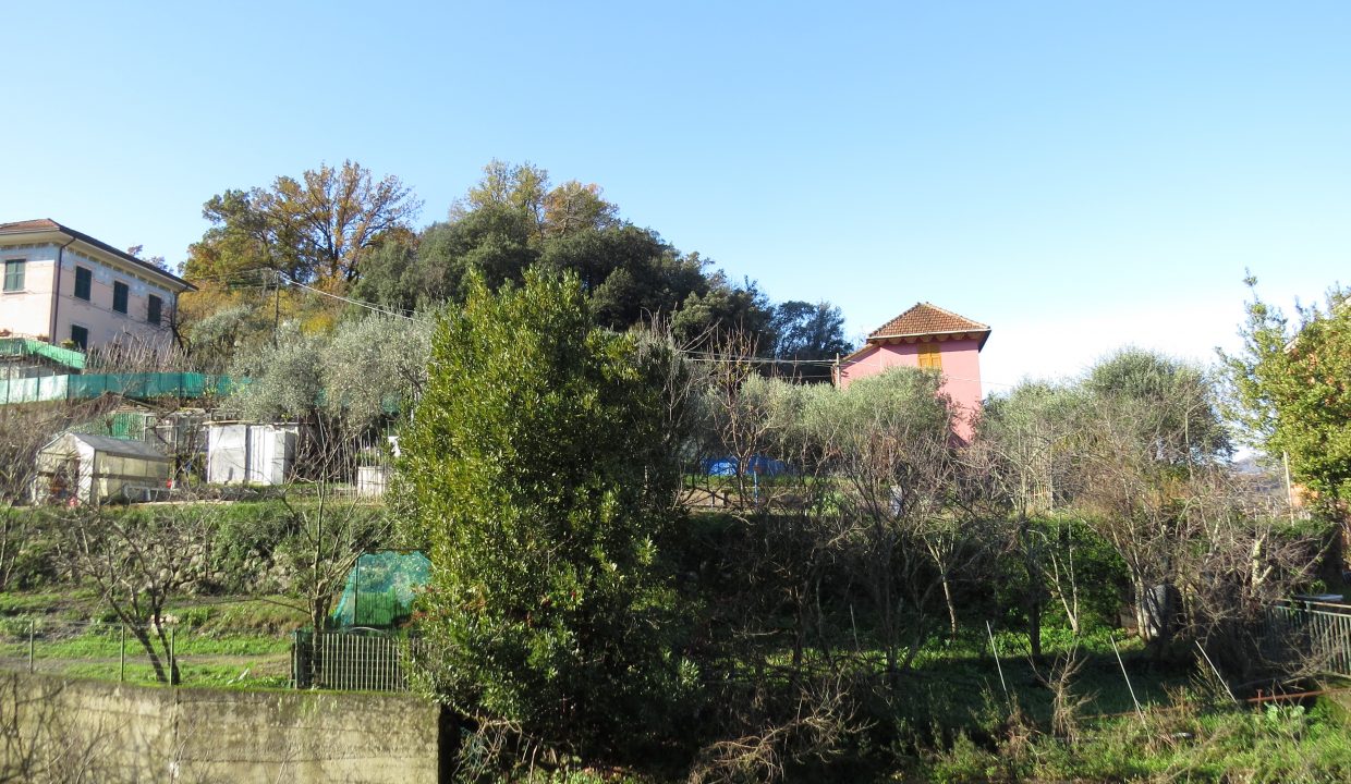 rosata