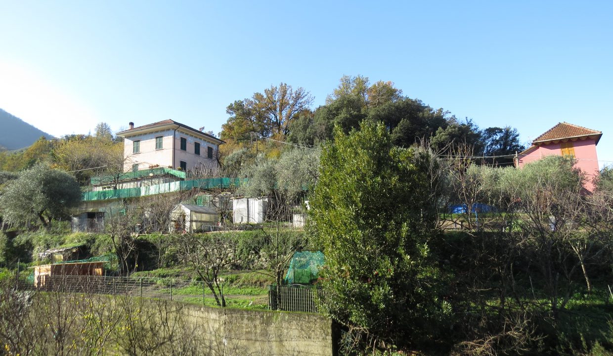 rosata