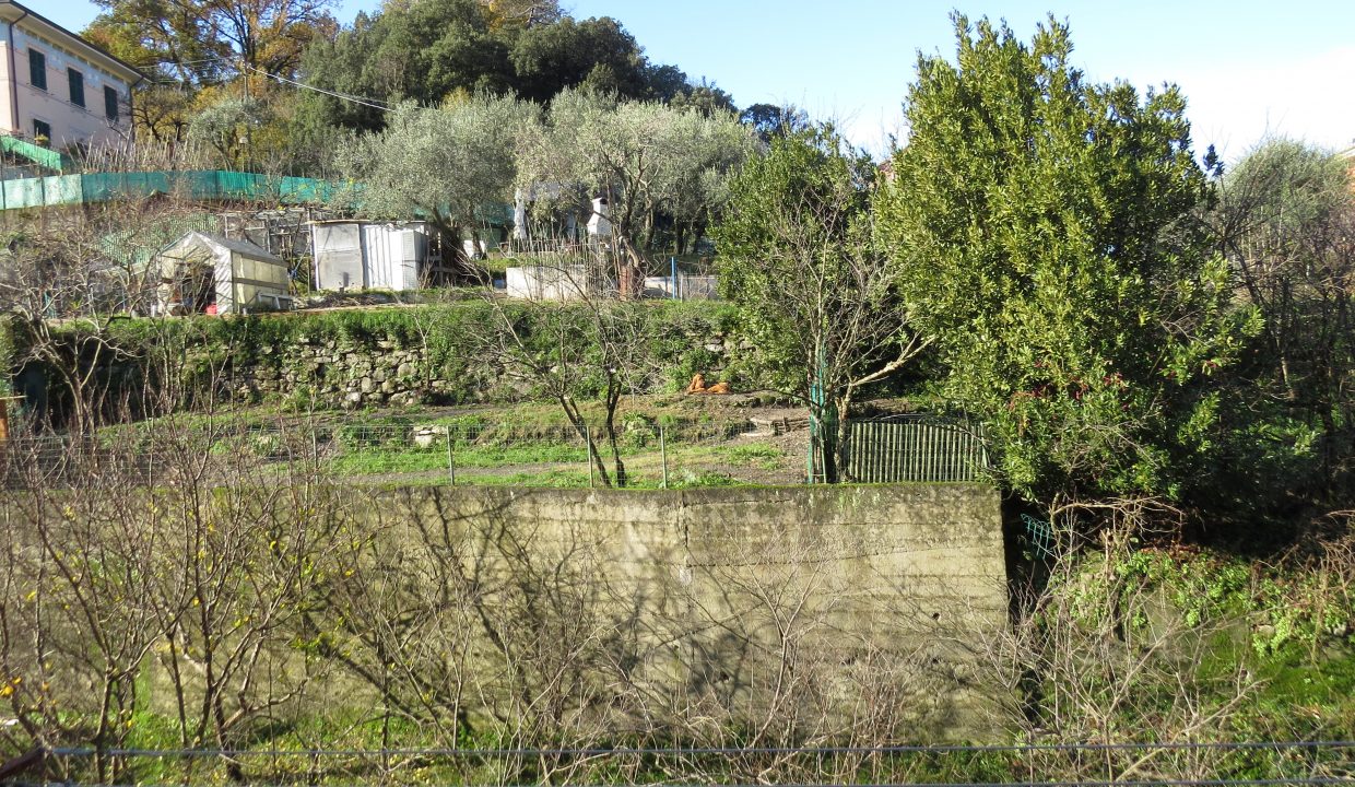 rosata