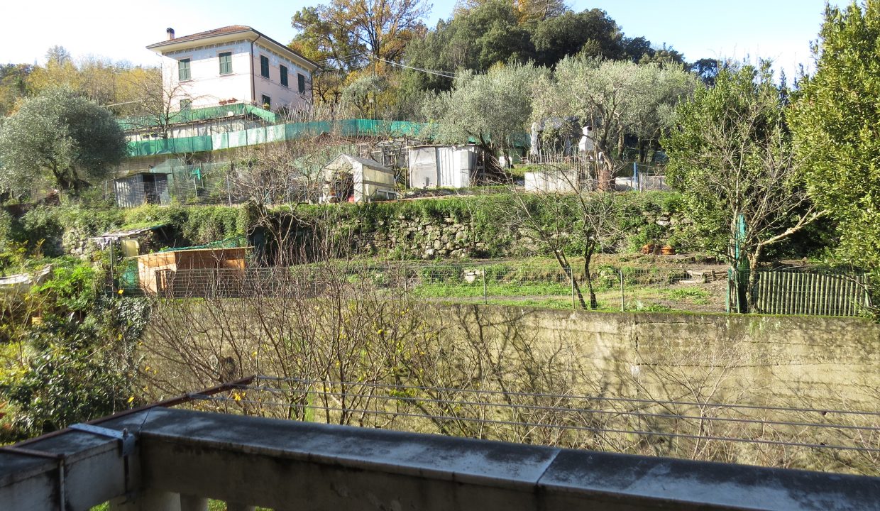 rosata