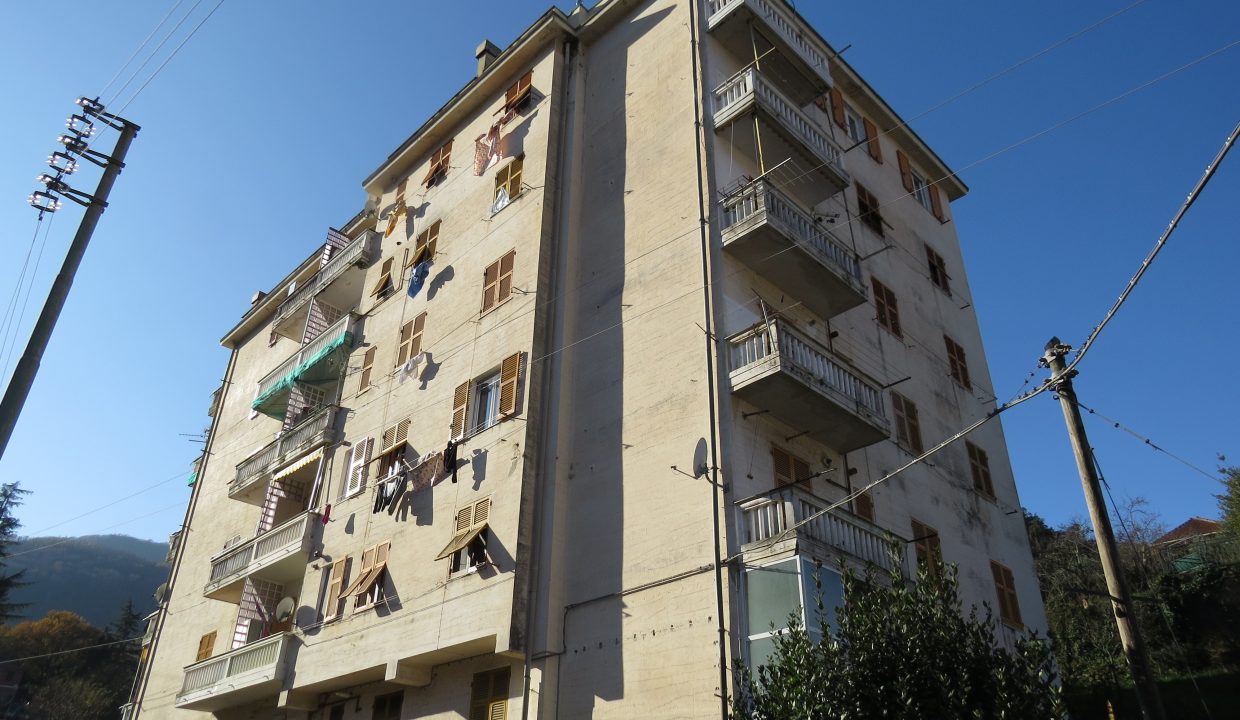 rosata