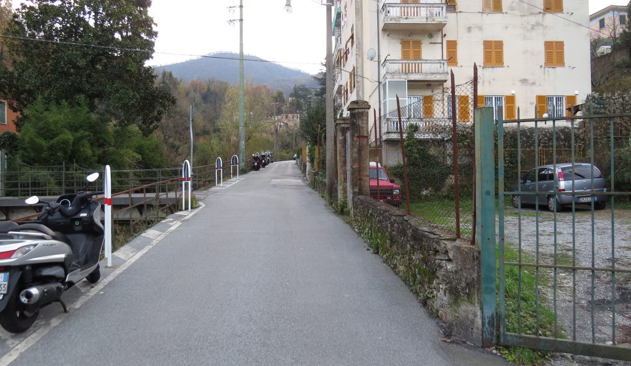 rosata
