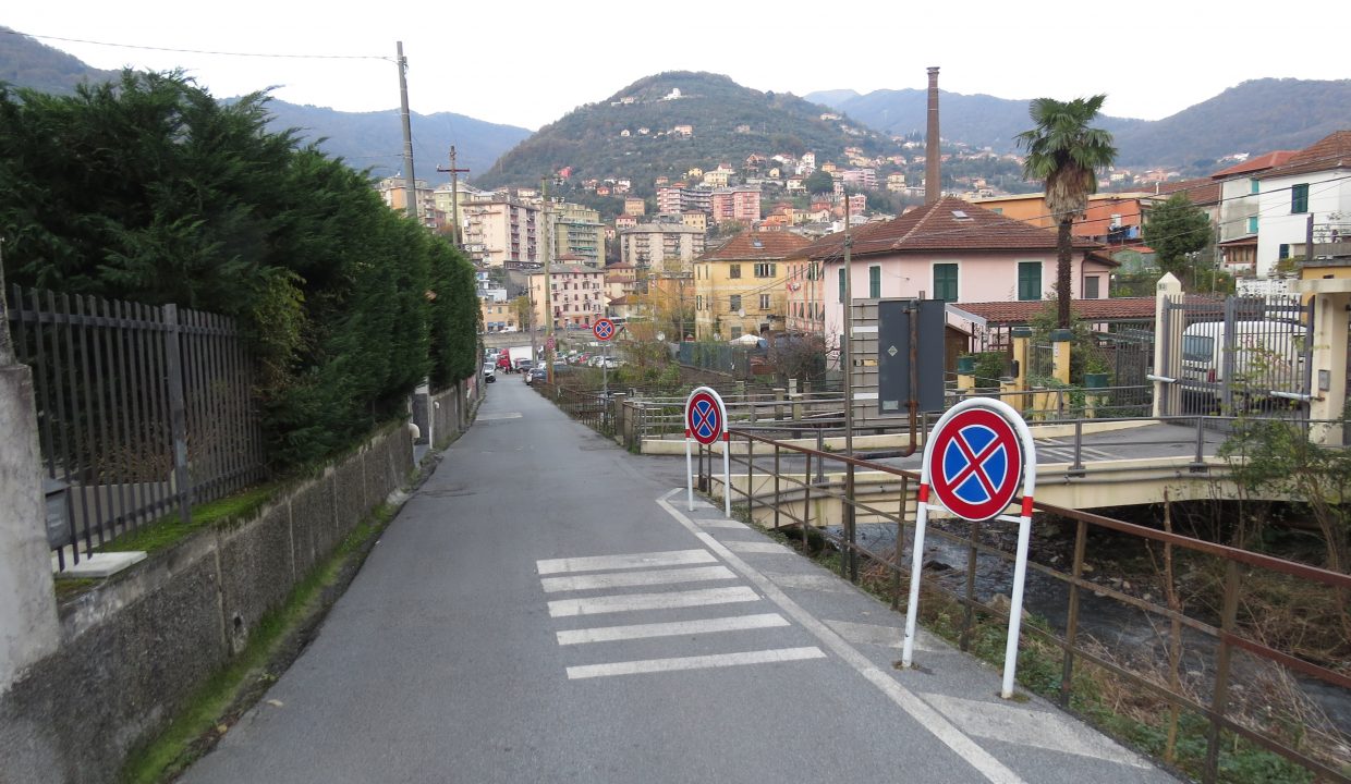 rosata